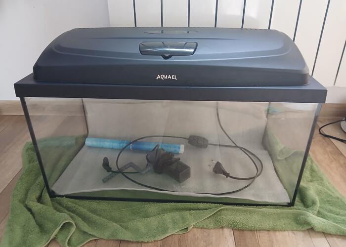 Grajewo ogłoszenia: Sprzedam akwarium 54 l w bardzo dobrym stanie bez uszkodzeń z...